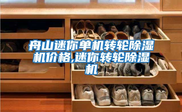 舟山迷你单机转轮除湿机价格,迷你转轮除湿机