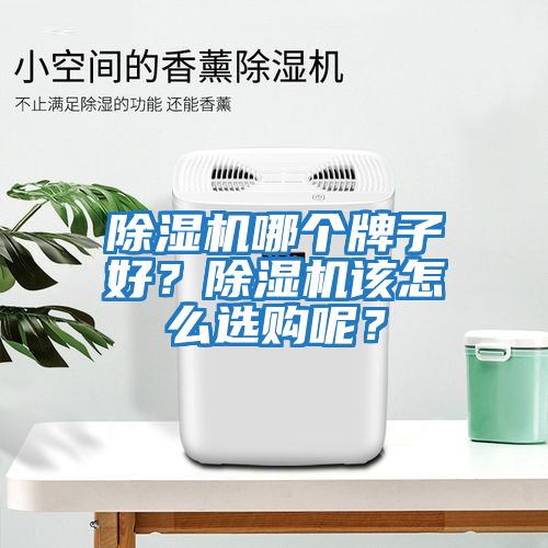 除湿机哪个牌子好？除湿机该怎么选购呢？