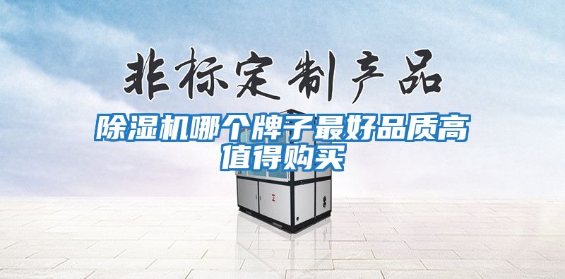 除湿机哪个牌子最好品质高值得购买