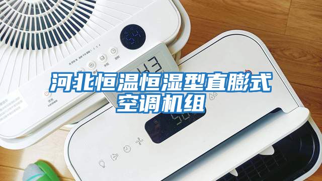 河北恒温恒湿型直膨式空调机组