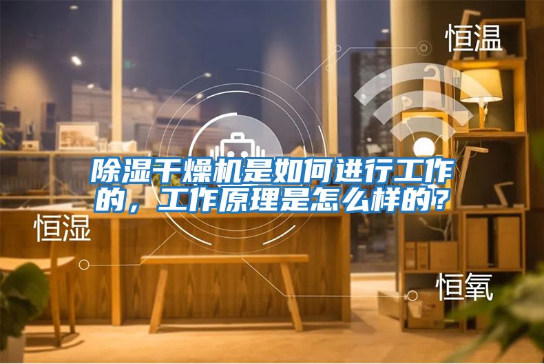 除湿干燥机是如何进行工作的，工作原理是怎么样的？