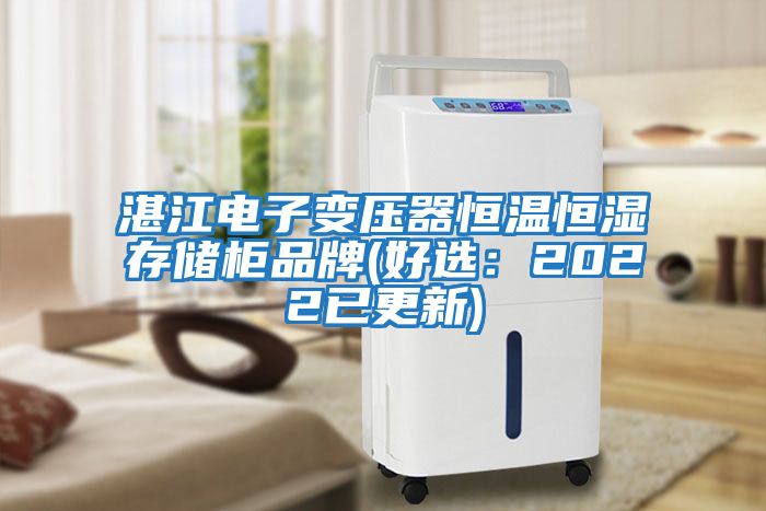 湛江电子变压器恒温恒湿存储柜品牌(好选：2022已更新)