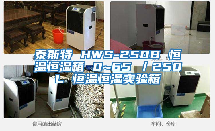 泰斯特 HWS-250B 恒温恒湿箱 0~65℃／250L 恒温恒湿实验箱