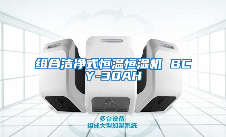 组合洁净式恒温恒湿机 BCY-30AH