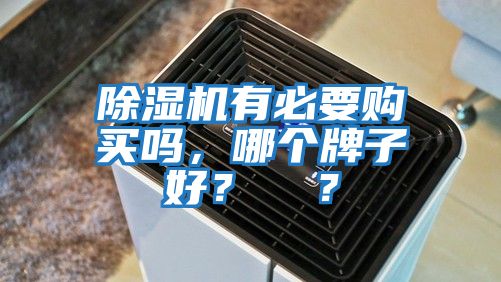 除湿机有必要购买吗，哪个牌子好？  ？