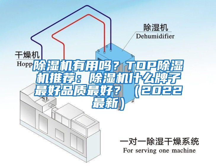 除湿机有用吗？TOP除湿机推荐：除湿机什么牌子最好品质最好？（2022最新）