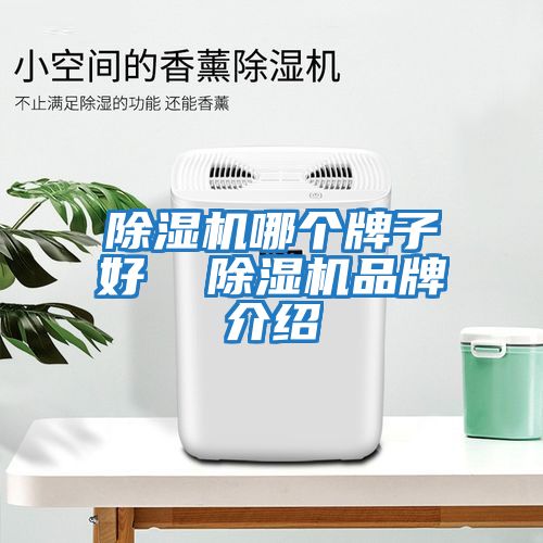 除湿机哪个牌子好  除湿机品牌介绍