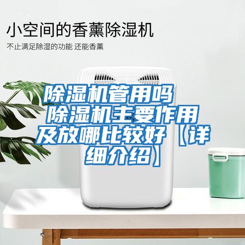 除湿机管用吗  除湿机主要作用及放哪比较好【详细介绍】