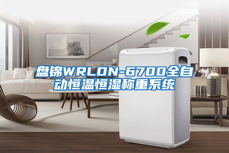 盘锦WRLDN-6700全自动恒温恒湿称重系统