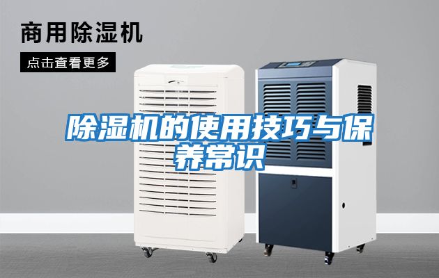 除湿机的使用技巧与保养常识