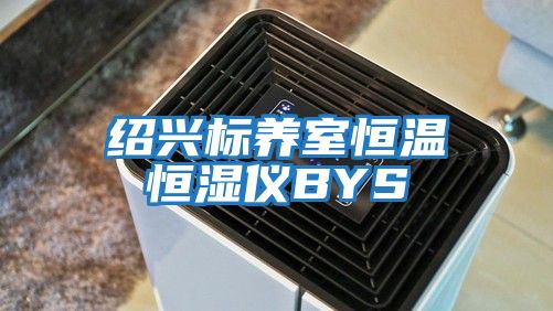 绍兴标养室恒温恒湿仪BYS