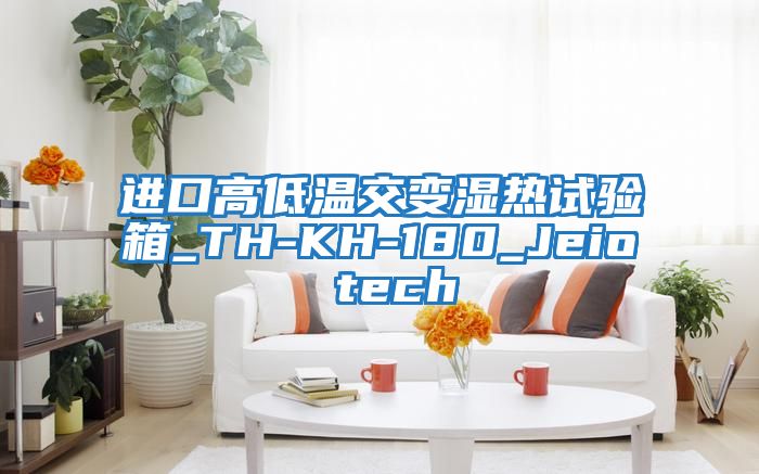 进口高低温交变湿热试验箱_TH-KH-180_Jeio tech