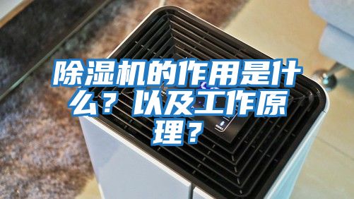 除湿机的作用是什么？以及工作原理？