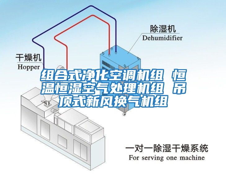 组合式净化空调机组 恒温恒湿空气处理机组 吊顶式新风换气机组