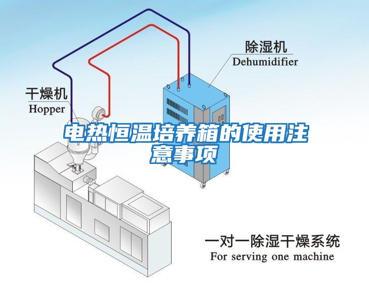 电热恒温培养箱的使用注意事项