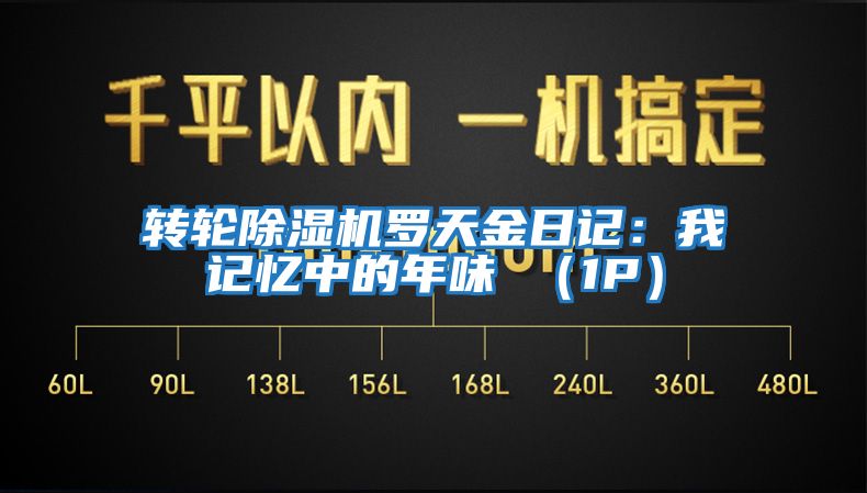 转轮除湿机罗天金日记：我记忆中的年味 （1P）