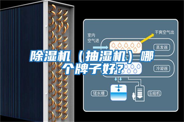 除湿机（抽湿机）哪个牌子好？