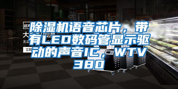 除湿机语音芯片，带有LED数码管显示驱动的声音IC，WTV380