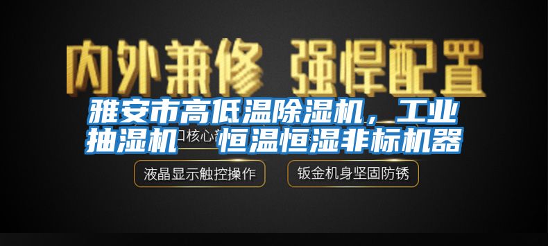 雅安市高低温除湿机，工业抽湿机  恒温恒湿非标机器