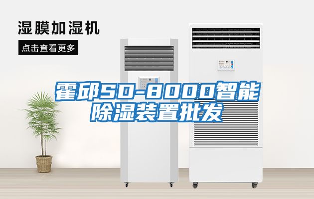 霍邱SD-8000智能除湿装置批发