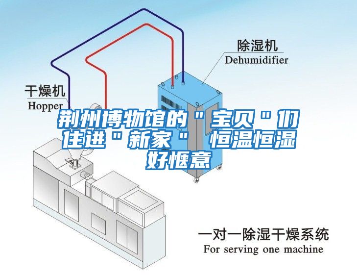 荆州博物馆的＂宝贝＂们住进＂新家＂ 恒温恒湿好惬意