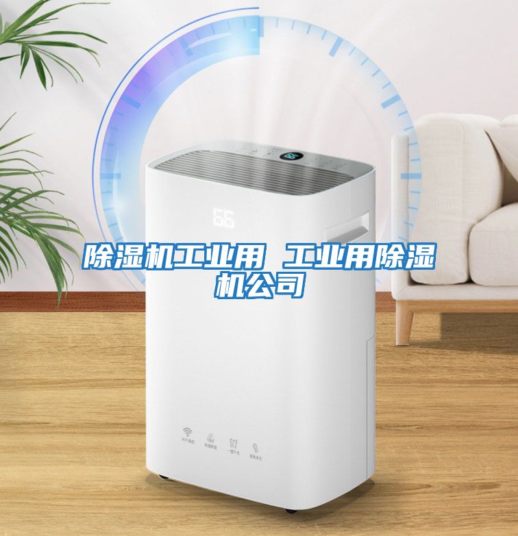 除湿机工业用 工业用除湿机公司