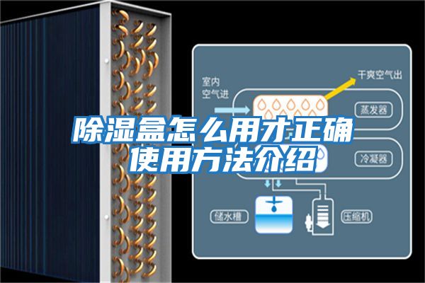 除湿盒怎么用才正确 使用方法介绍