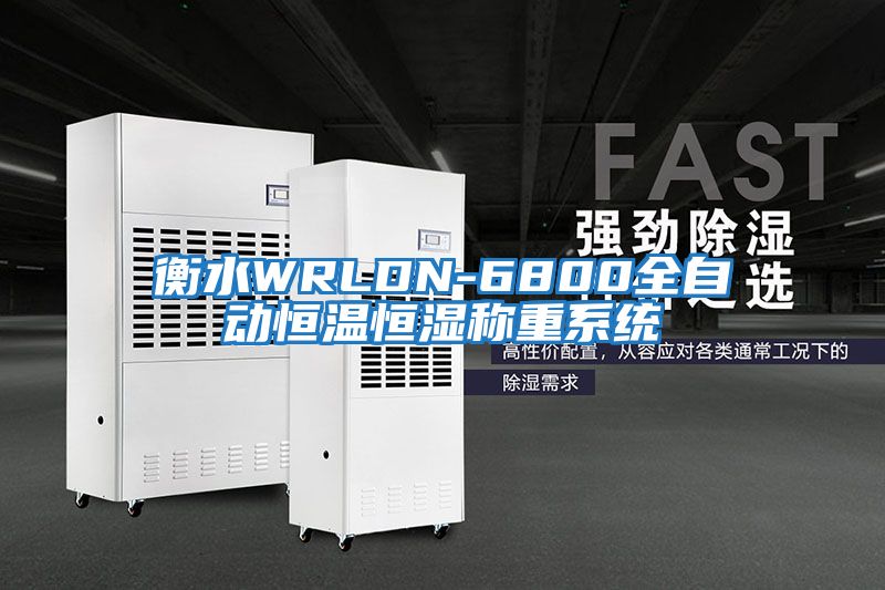 衡水WRLDN-6800全自动恒温恒湿称重系统