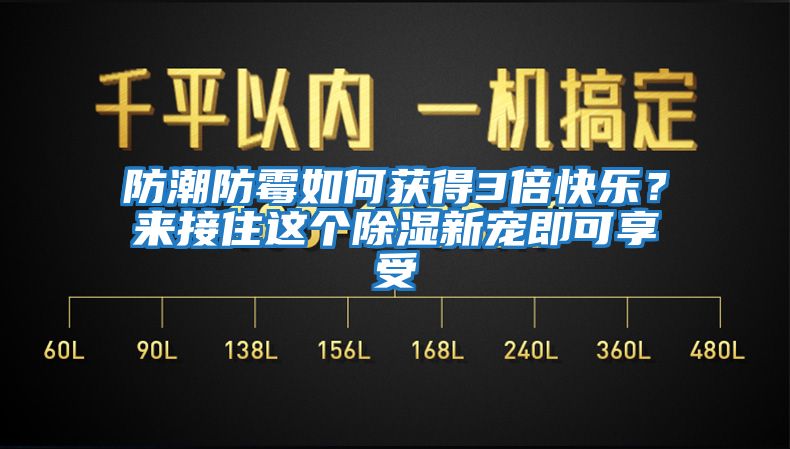 防潮防霉如何获得3倍快乐？来接住这个除湿新宠即可享受